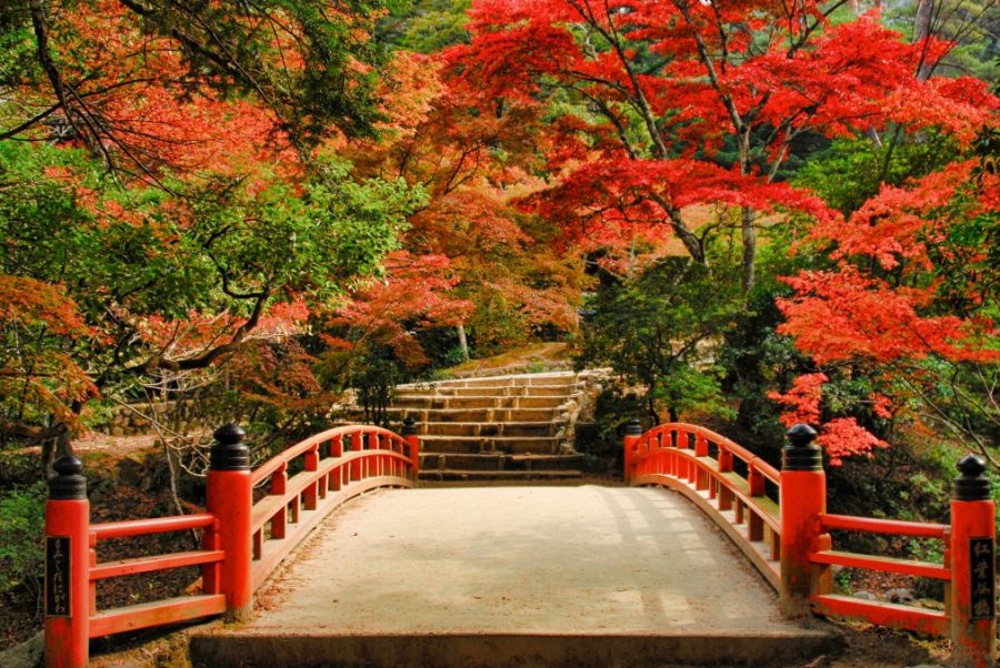 Our top 10 places to see autumn leaves in Japan InsideJapan Tours