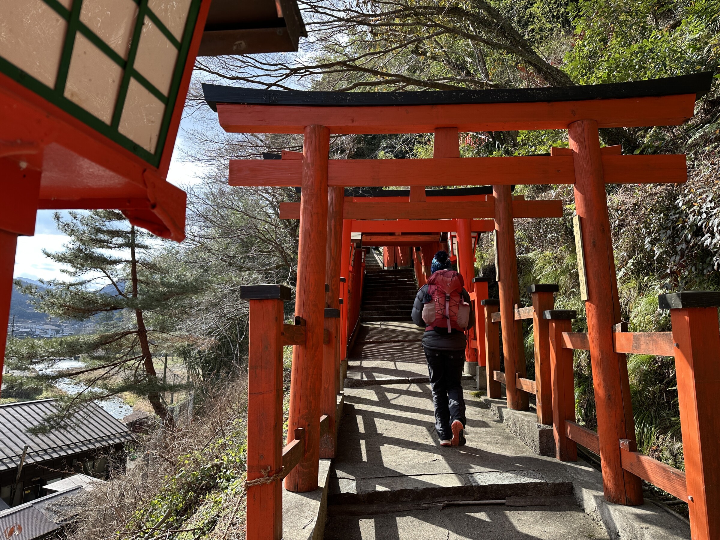 Man walking under red torii gates