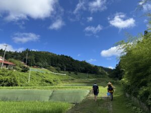 Green fields and blue sky with two people walking away from the camera