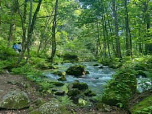 A blue river with rocks in running between two banks of green leafy trees