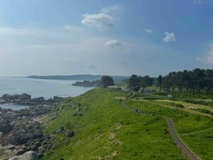 green grassy trail leading to forest and sea along the coast